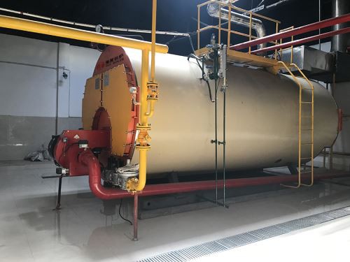 WNS دوگانه گاز سوخت اخراج صنعتی دیگ آب داغ