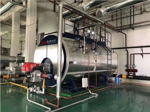 بخار دیگ بخار برای صنایع غذایی