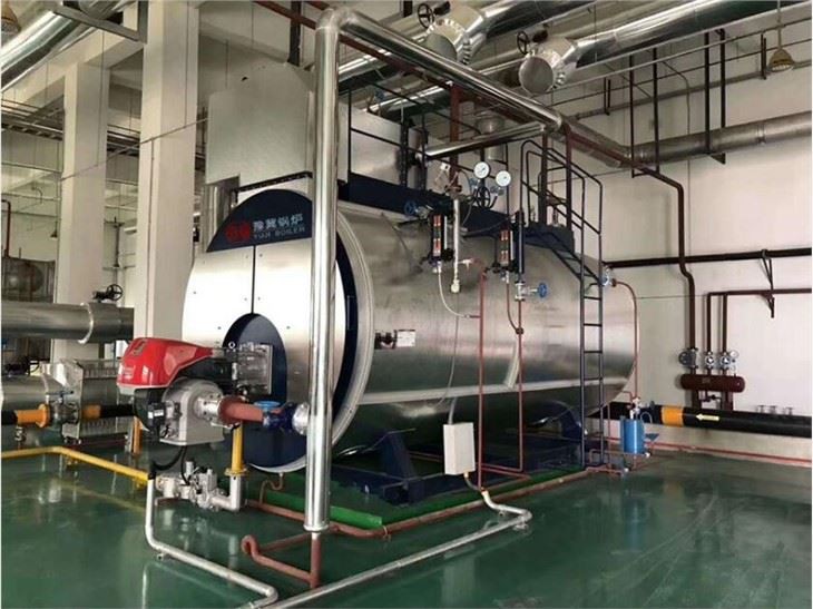 Steam Boiler For Tomato Sauce Production